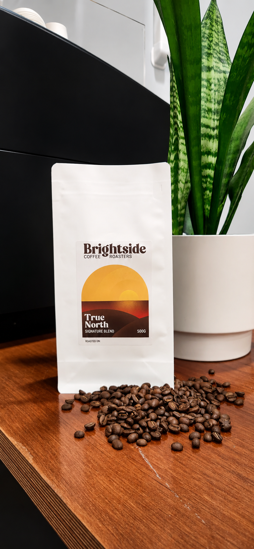 True North Signature Blend