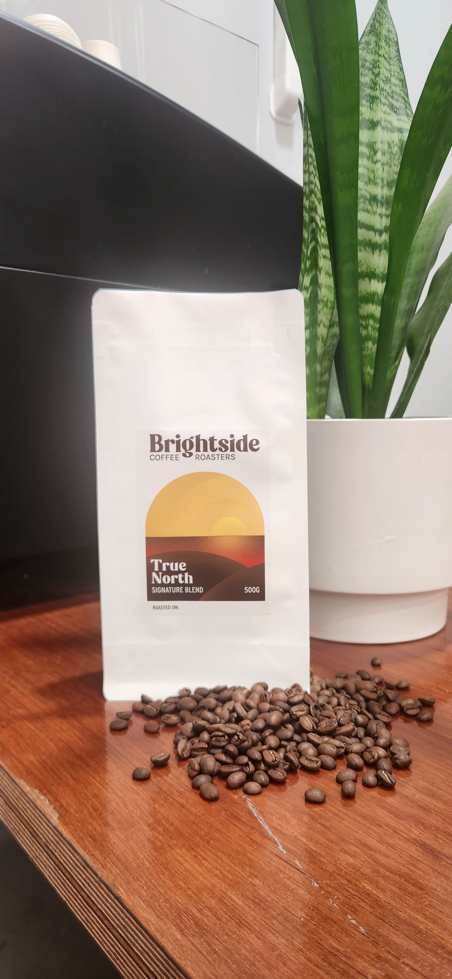 True North Signature Blend